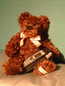 Som jag, den lite sorgsna bj&ouml;rnen "Johansson"