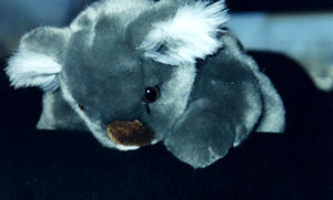 Den trogna f&ouml;ljeslagaren "Ludde" 