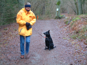 Glimt av hundpromenaden genom Nackareservatet...