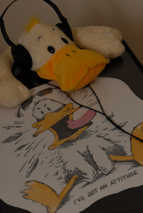 Min underbara goa Anka, med lite attityd...